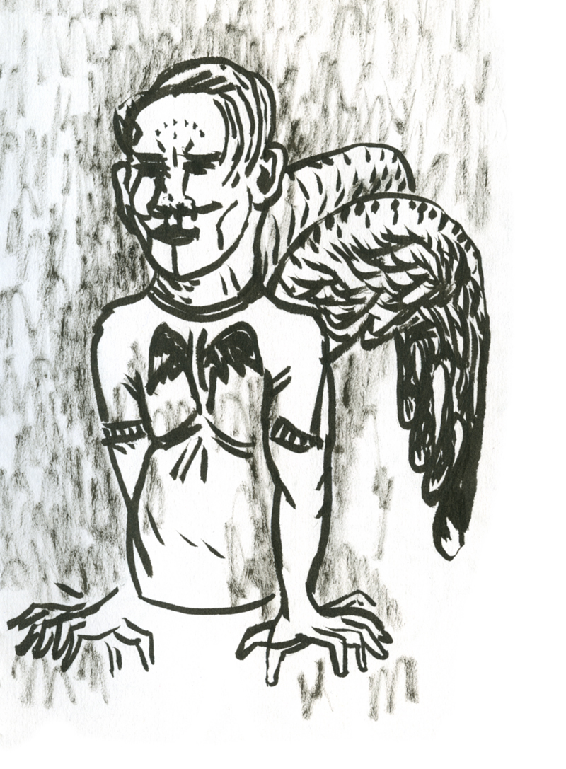 2.-15x21cm