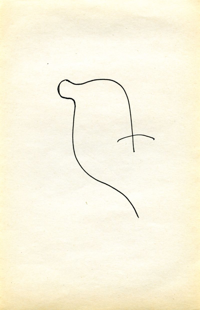 04 DESSINS serie flipbook