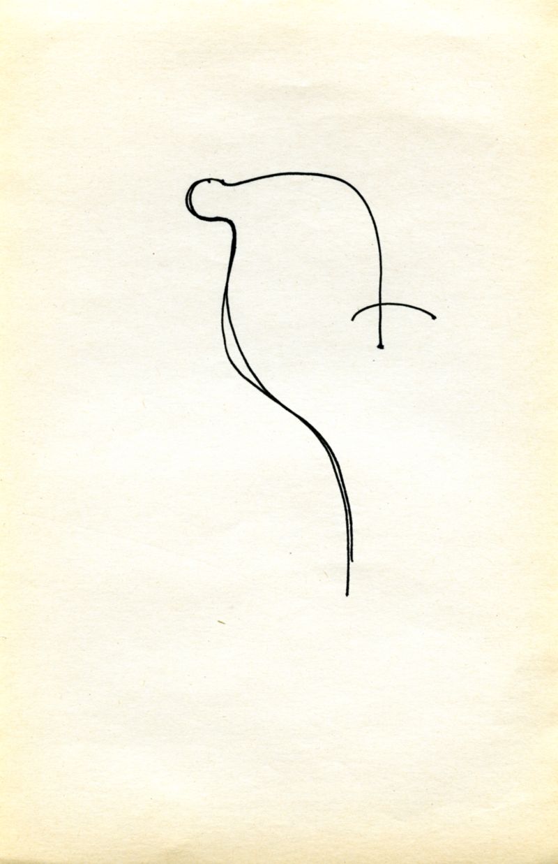 05 DESSINS serie flipbook
