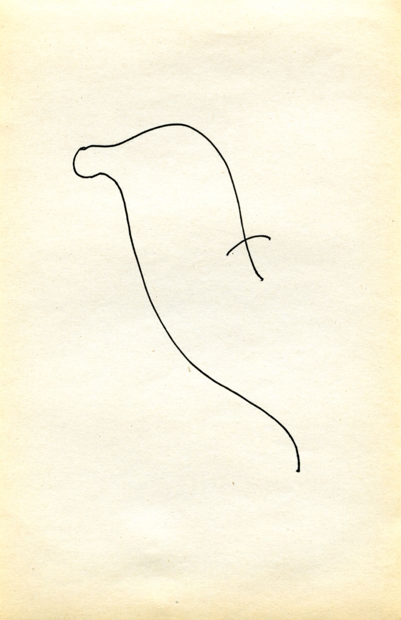06 DESSINS serie flipbook