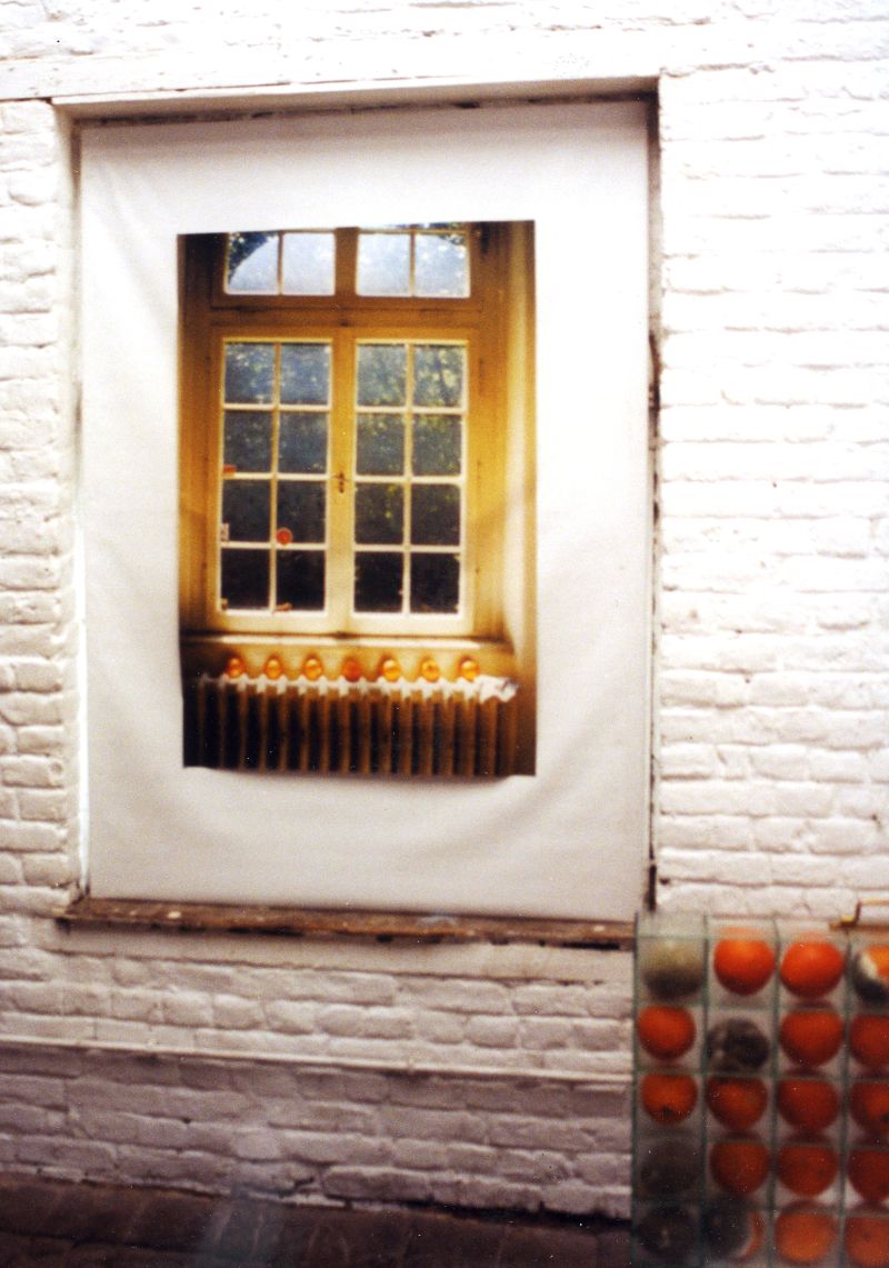 20 PHOTO lesoranges